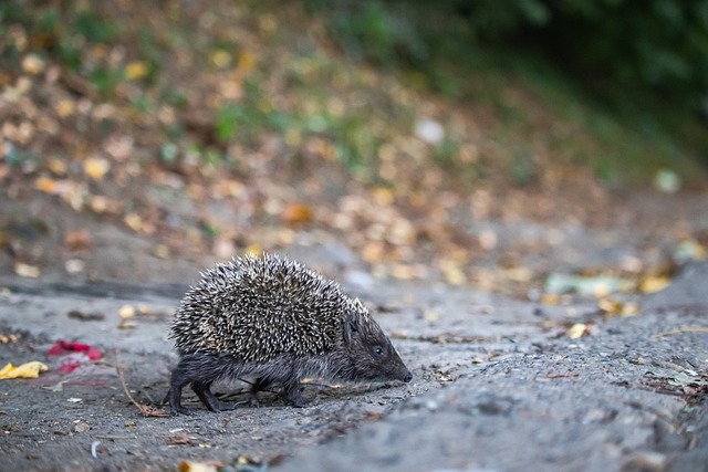关键在于是 关键在于是